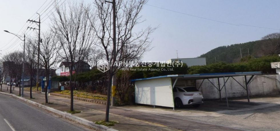 경남 진주시 사봉면 사곡리 사곡리 우체국옆 소나무식재 토지 560평 매매 매매 매물번호 21239 사진 1