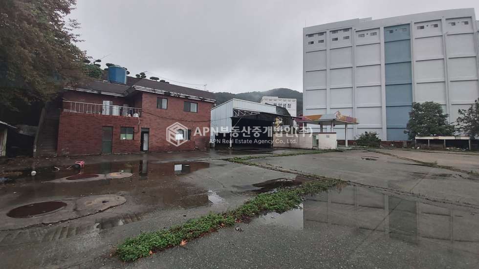 부산 사하구 신평동 신평동 준공업지역 1700여평 공장,창고부지 매매 매매 매물번호 21799 사진 2