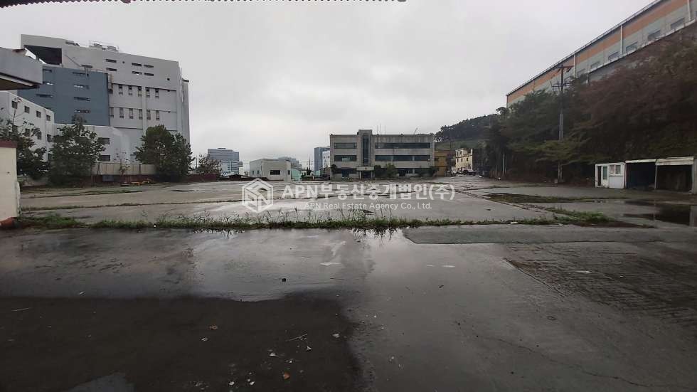 부산 사하구 신평동 신평동 준공업지역 1700여평 공장,창고부지 매매 매매 매물번호 21799 사진 4